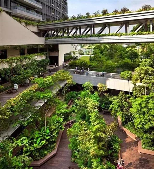 花园式绿色医院,我当真了(图5) 花园式绿色医院,我当真了(图5)