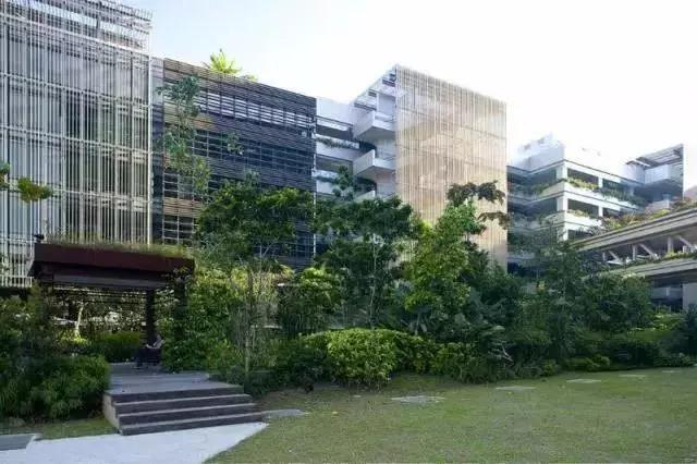 花园式绿色医院,我当真了(图6) 花园式绿色医院,我当真了(图6)