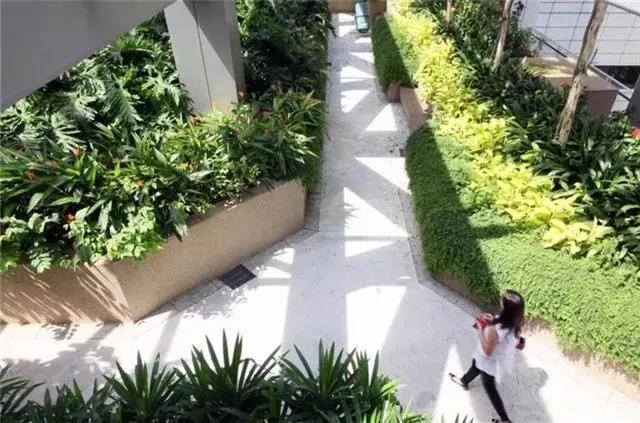 花园式绿色医院,我当真了(图8) 花园式绿色医院,我当真了(图8)